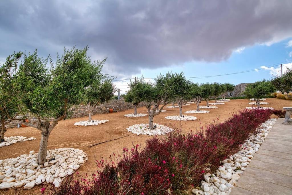 Grand Villa Reve Naousa  Exterior photo